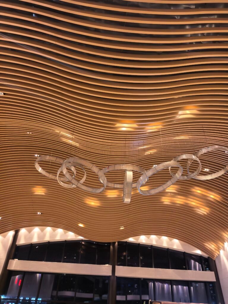 Wood grain curved aluminum baffle ceiling with integrated decorative lighting